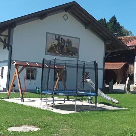Ferienwohnung Im Bayerischen Wald Mit Terrasse Viechtach Eksteriør bilde