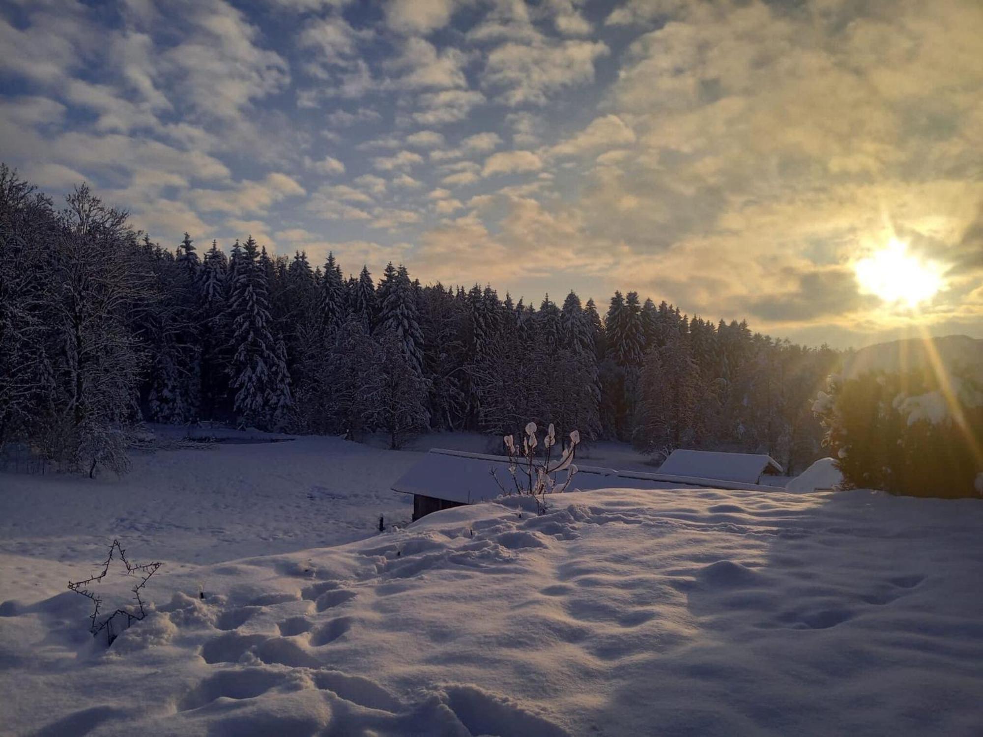 Ferienwohnung Im Bayerischen Wald Mit Terrasse Viechtach Eksteriør bilde