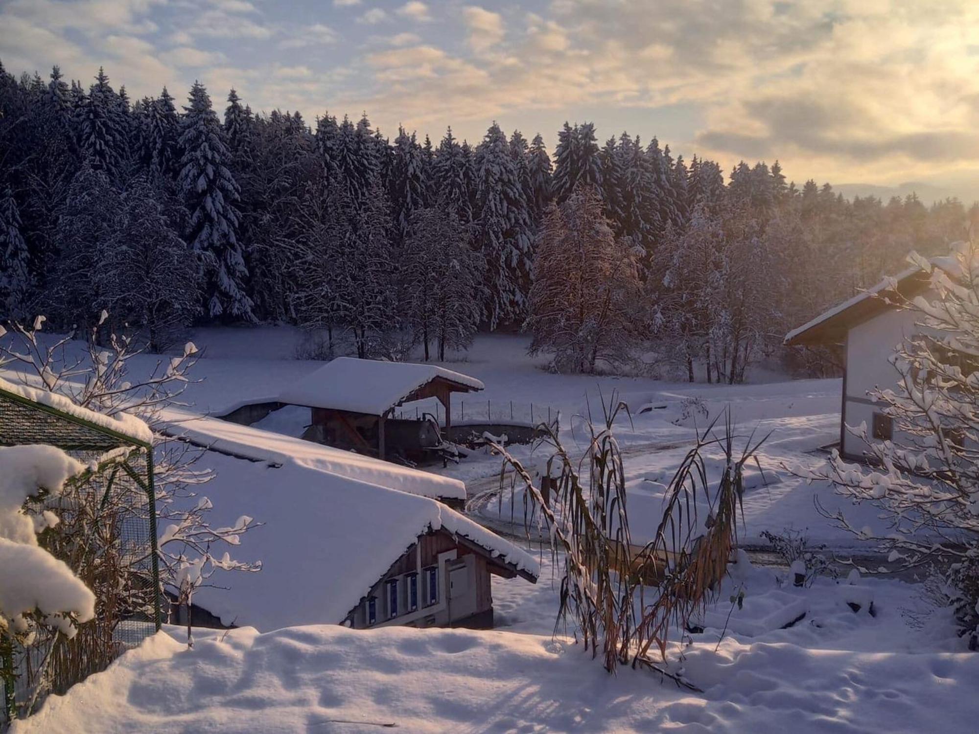 Ferienwohnung Im Bayerischen Wald Mit Terrasse Viechtach Eksteriør bilde